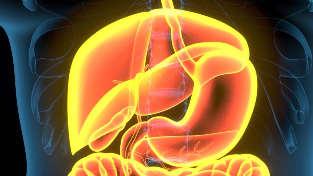 Acid Reflux